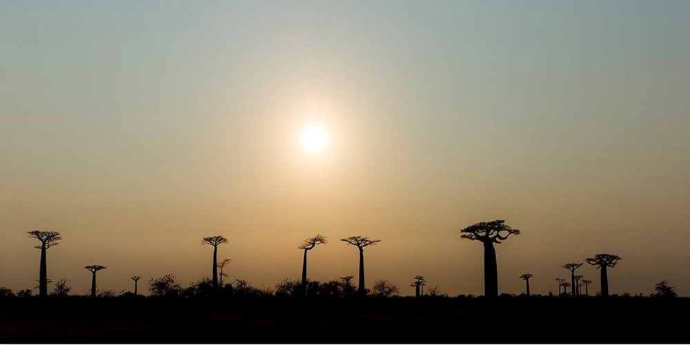 COUCHER DE SOLEIL MORONDAVA (7)