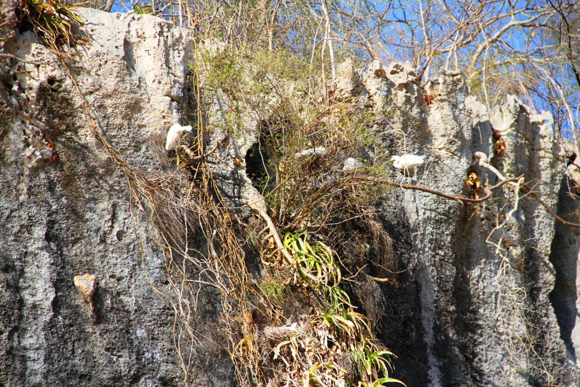 GORGES DU MANAMBOLO (6)