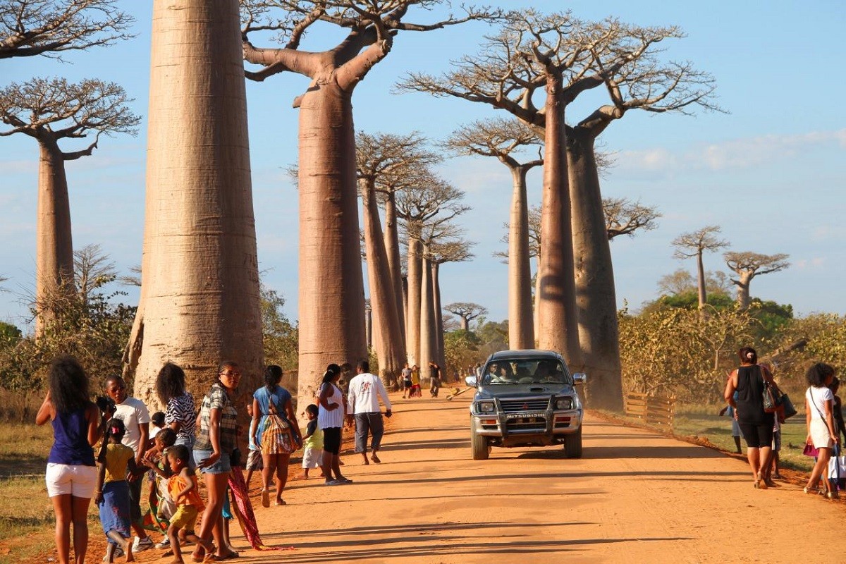 ALLEE DES BAOBABS PAR MORONDAVA AUTREMENT