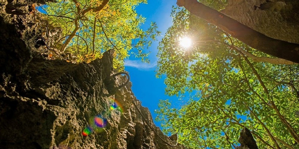 TSINGY DE BEMARAHA 