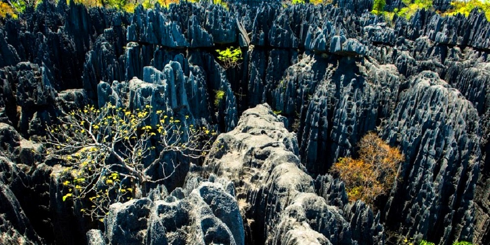 TSINGY DE BEMARAHA 