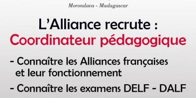 Coordinateur pedagogique
