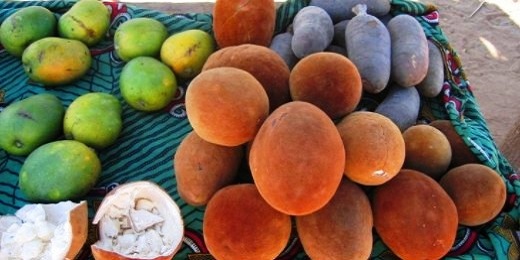 Fruit de baobab