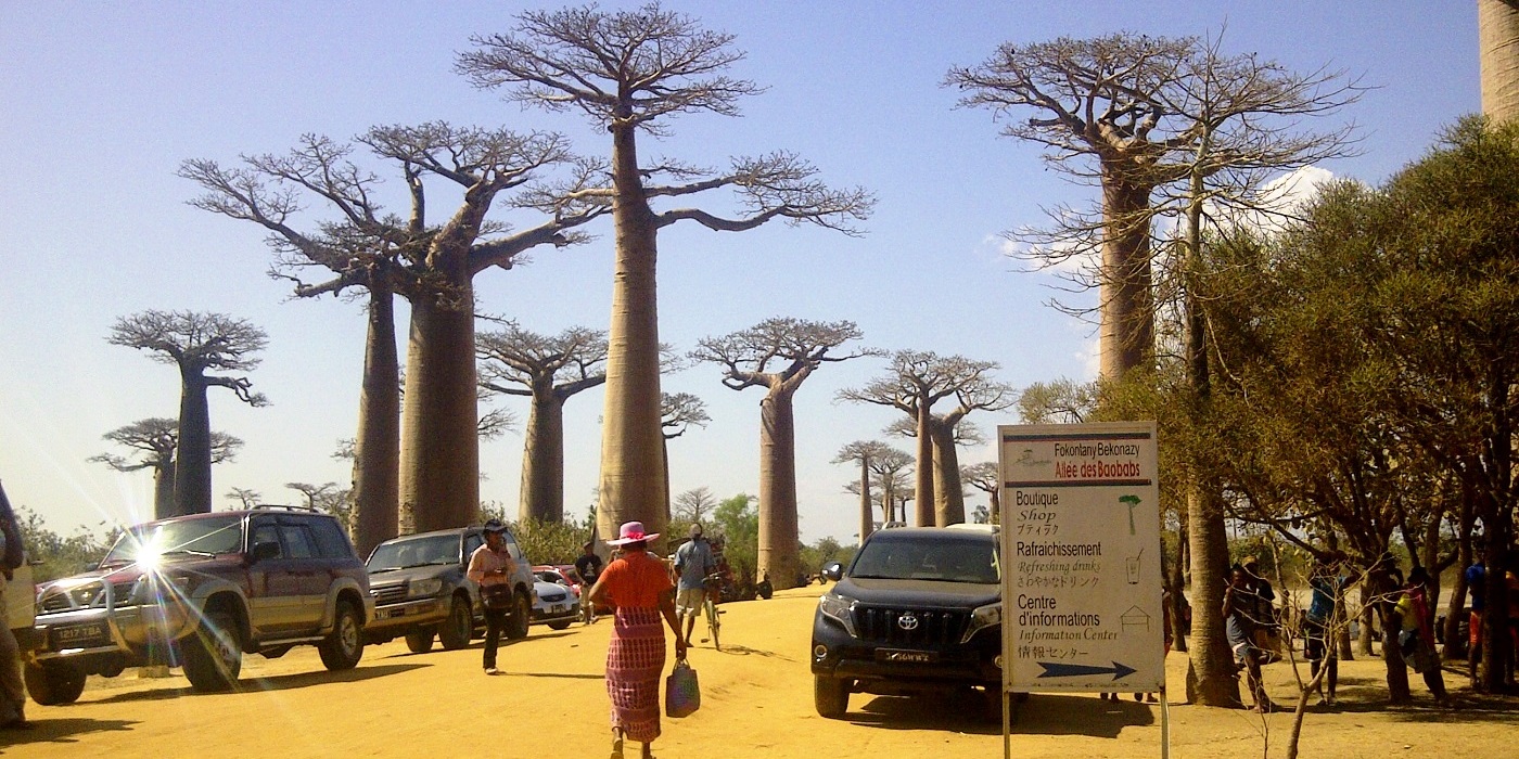Allée des Baobabs : de nouveaux aménagements et lieux d'accueil