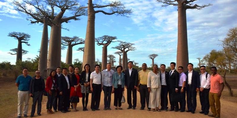 Morondava : Les chinois envisagent d'investir sur l'allée des Baobabs