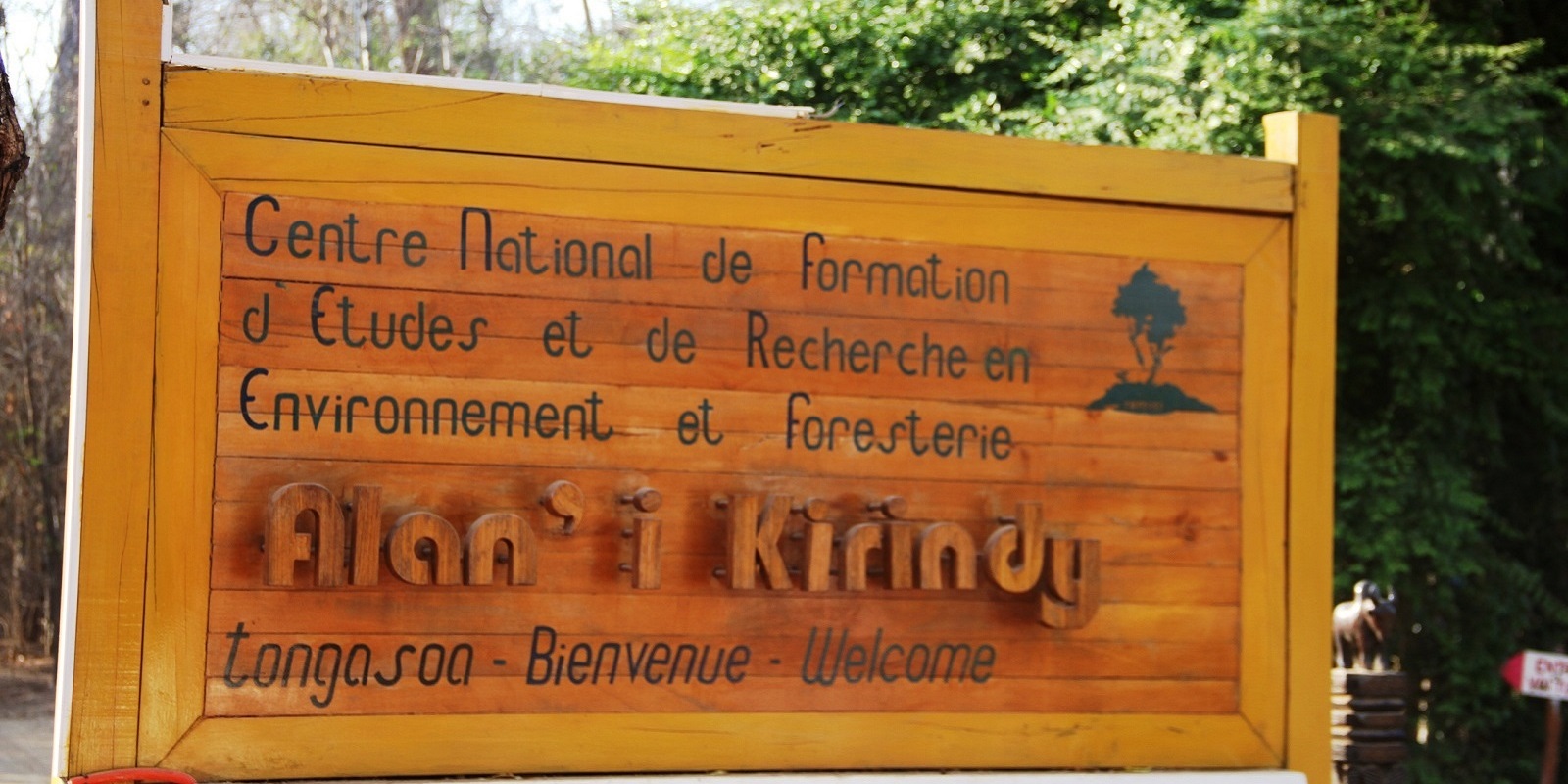 la forêt de kirindy